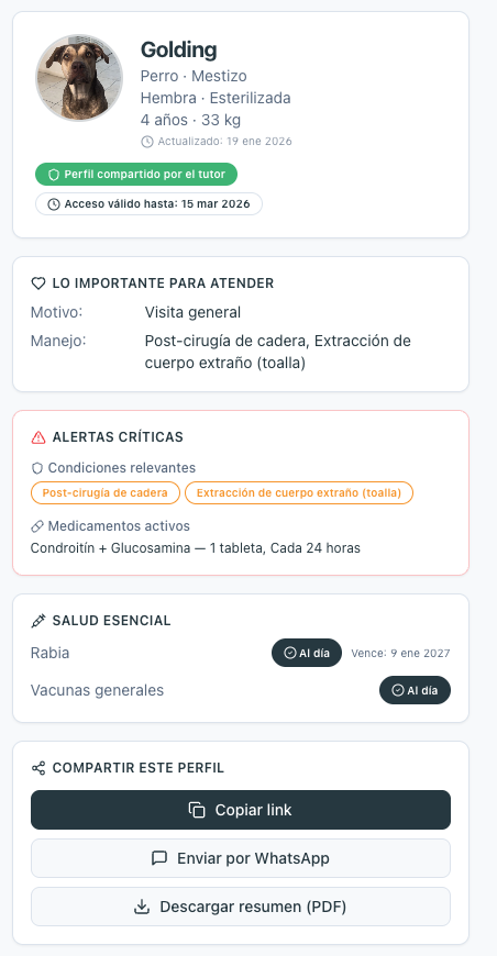 Perfil de tu mascota
